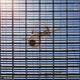 Image for article titled The Aging Giant of Telescopes, Shrouded In Tropical Mist